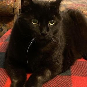 Meet your Posher, Deborah